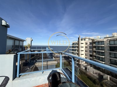 Alquiler anual monoambiente en península con gran terraza todo incluido