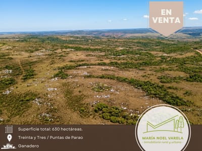 Campo Ganadero en Treinta y Tres - 630 Hectáreas