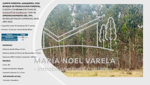 Campo en venta de 96ha ubicado en Puntas De Santa Lucia
