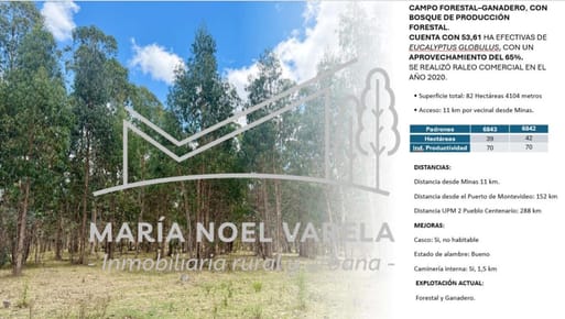 Campo en venta de 82ha ubicado en Minas