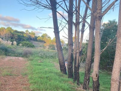 VENTA 4 TERRENOS LA ESMERALDA