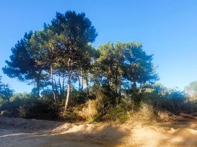 VENTA TERRENO ESQUINA en LA SERENA, La Paloma, ROCHA