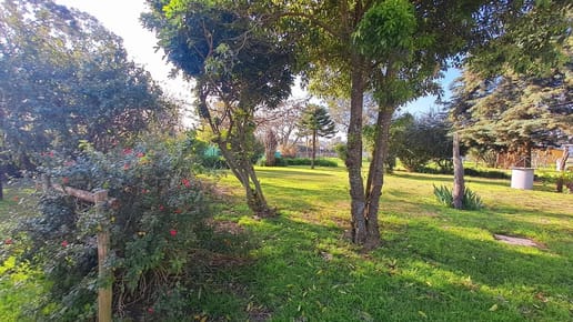 VENTA CHACRA 3 Has/3 casas/ Próx a Ruta Perimetral y César Mayo Gutierrez