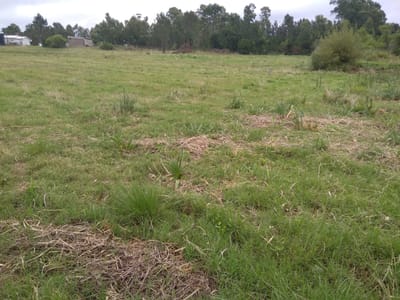 INVERSION VENTA CAMPO 3 HECTÁREAS con galpón-próx Interbalnearia-RINCON DE PANDO