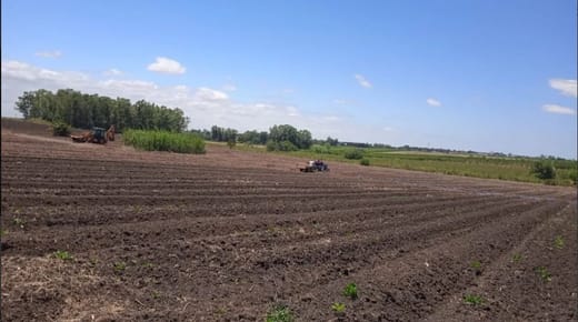 INVERSION CHACRA 6.8 HA -CON INVERNADEROS-PRODUCCION CULTIVO-CANELONES