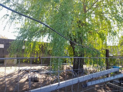 Venta/Delta del Tigre/Casa/2 Dormí/2 Garajes/ Alquilada/Terreno 550m2/Banco