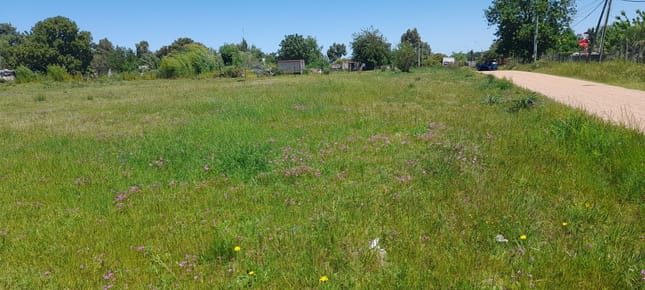 Venta/Terreno/Playa Pascual/Terreno 523 m²/ CERCA DE RUTA 1 Nueva K 32
