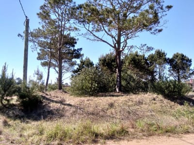 Espectacular terreno en Punta del Diablo, La Viuda 1200 m2