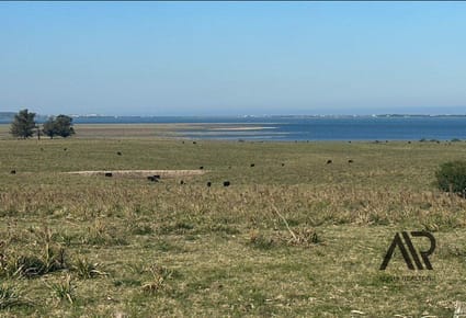 Chacra de 4 ha Laguna de José Ignacio, Maldonado/uruguay.