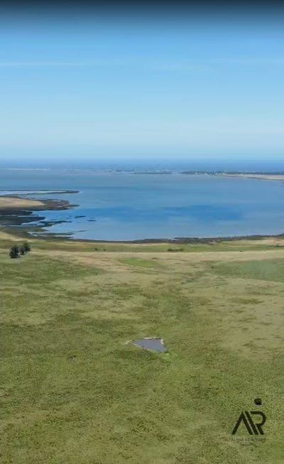 Chacra de 26.5 ha entre canchas de polo, y con vista a Laguna de José Ignacio.