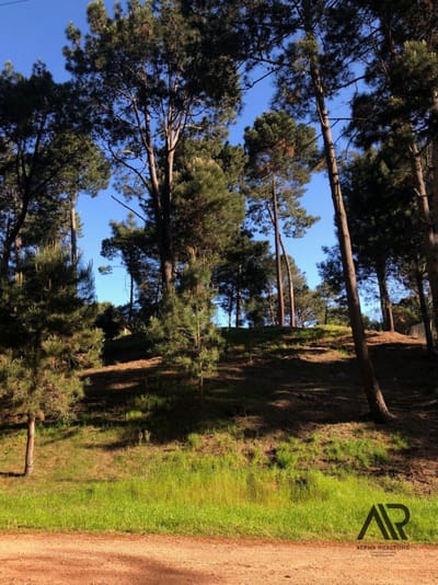 Terreno en venta de 1470m2 ubicado en Portezuelo