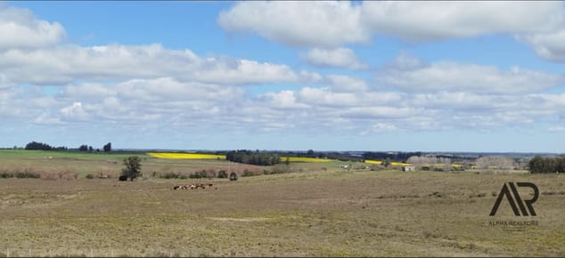 Excelente campo ganadero/agrícola en venta de 103 ha ubicado en Solís de Mataojo