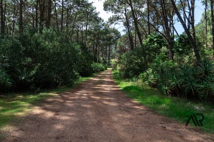 Terreno en venta de 1746m2 ubicado en Laguna Del Sauce