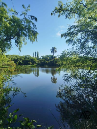 Chacra en venta de 18ha ubicado en San Carlos