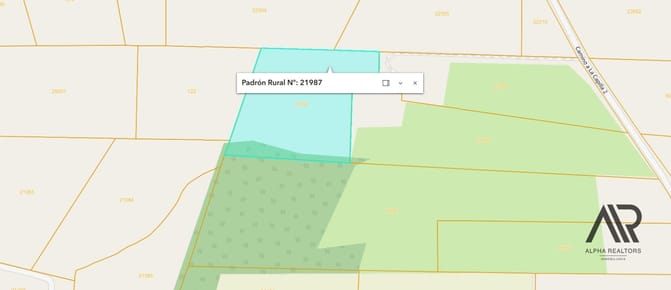 Campo en venta de 50000m2 ubicado en Solanas