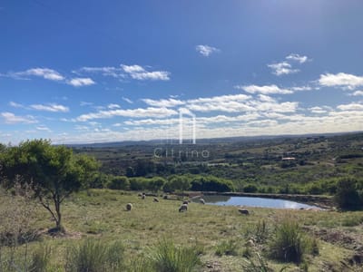 Vendo Hermosa Chacra en Las Cañas.