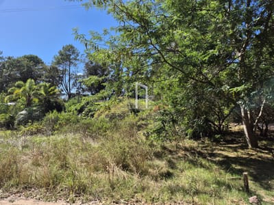 Lote ocean parck
