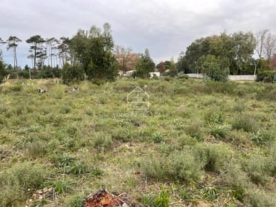 Venta terreno Punta del este