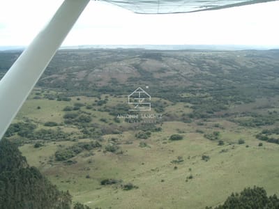 Venta Campo Ganadero Forestal Rocha