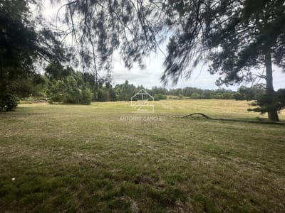 Venta chacra en punta Ballena