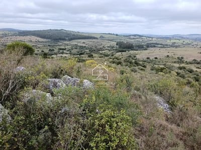 Chacra En Zona De Serranías, Proximo A Pueblo Edén. Excelente Vertiente Natural