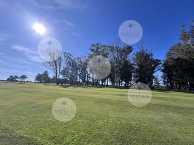 Terreno en venta Pueblo mio, elevado y con laguna propia