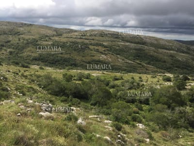 VENTA CHACRA 5 HAS SIERRAS CARAPE CON ARROYO