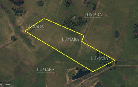Vendo chacra ruta 9, cerca de Pan de Azúcar, Maldonado. A 45´ de Punta del Este. Financia.
