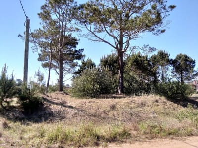 SE VENDE TERRENO EN LA VIUDA PUNTA DEL DIABLO