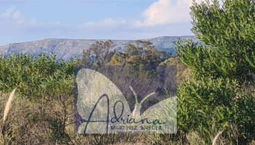 Terrenos Excepcionales -zona Residencial En Expansión