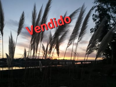 Terreno Con Salida Directa Al Arroyo (vendido)