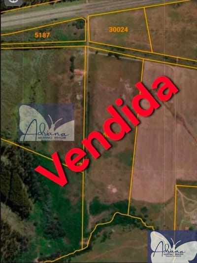 Oportunidad!! 11ha En Balneario Las Flores Al Sur De Ruta Ib