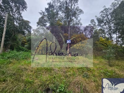 uno disponible-Solís-arbolados, zona natural y tranquila-fácil acceso desde ruta