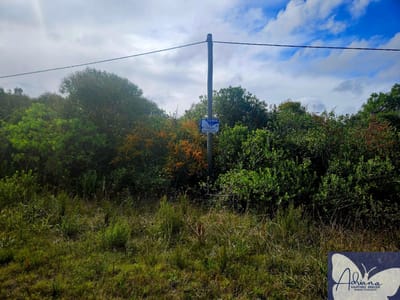 Terrenos nuevos en venta ubicados en Solís