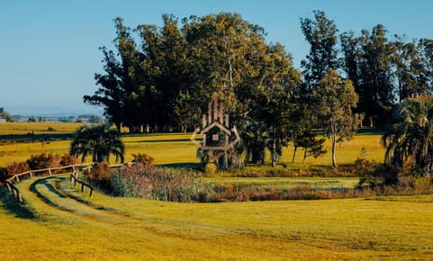 La Morenita - José Ignacio