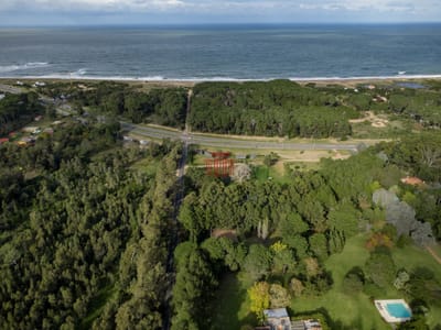 Lote En Inmejorable Ubicación - Piedra Del Chileno - A 250 Metros Del Mar