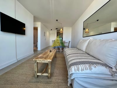 ALQUILER APARTAMENTO 1 DORMITORIO Y MEDIO EN PUNTA DEL ESTE - Ref : EQP5661
