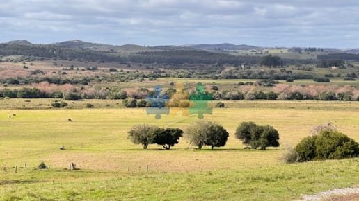 Campo 57 has - Agricola Ganadero cerca de Minas! muy bueno! - Ref : EQP6559