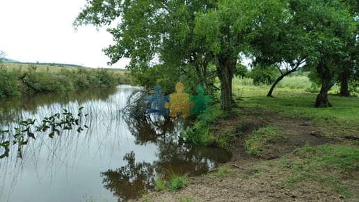 Campo de 30 hectáreas en venta a minutos de San Carlos, Ruta 39 - Ref : EQP6646