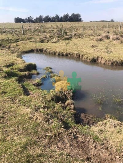 Campo de 20 hectáreas en venta zona de Garzon - Ref : EQP7354
