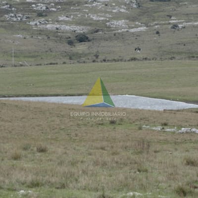 Excelente campo ganadero, apto para Olivos-Vid-Eucaliptus o recreo, sobre ruta 12. - Ref : EQP7363