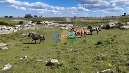 Gran Potencial Turístico, apto para fraccionamiento de chacras en ubicación inmejorable. - Ref : EQP7410