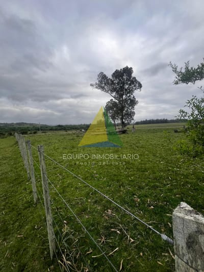 Campo 110 hectáreas en Aiguá - Ref : EQP7901
