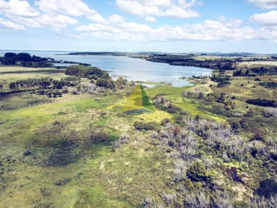Campo  Ruta 12, venta, 33 hectareas sobre La Laguna, Punta Ballena - Ref : EQP8432