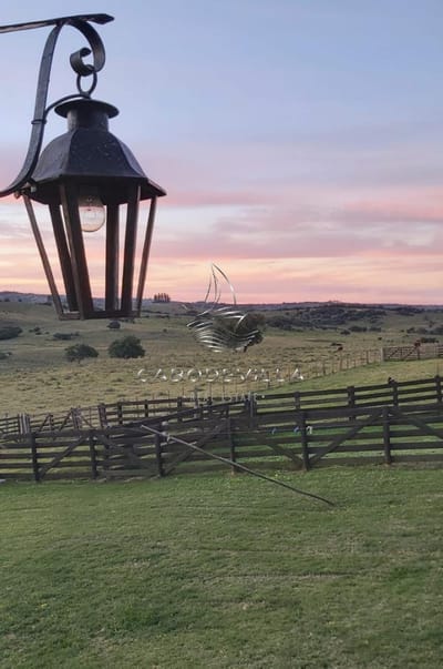 En venta campo de 276 has Sierra de Los Caracoles, Maldonado
