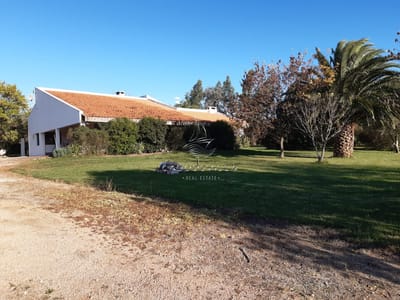 En venta chacra de 5 has con casa Ruta 39 Paso Dutra