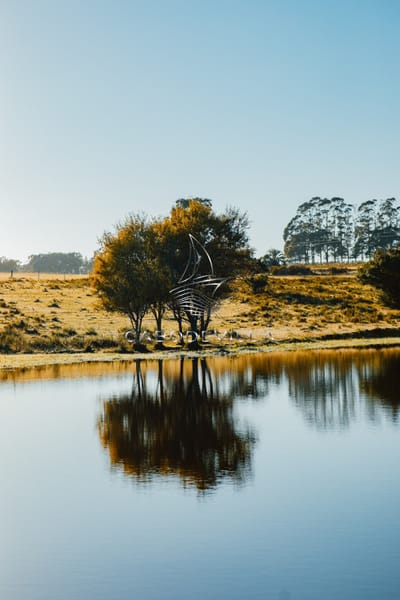 En venta terrenos en José Ignacio barrio privado