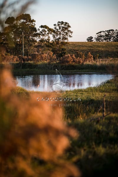 En venta terrenos en José Ignacio