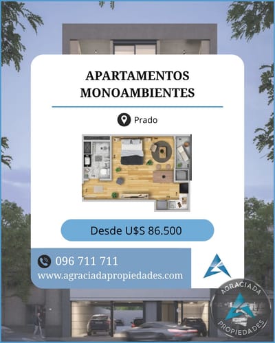 Apartamento en venta en Reducto