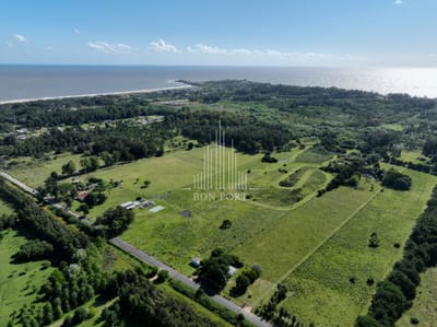 Barrio privado en Punta Ballena.
